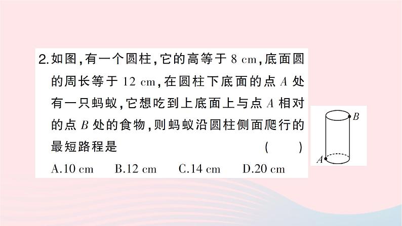 2023八年级数学上册第一章勾股定理3勾股定理的应用作业课件新版北师大版03