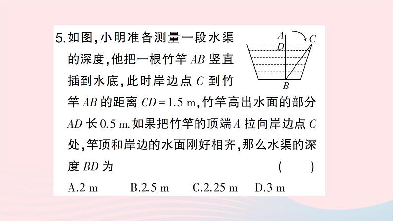 2023八年级数学上册第一章勾股定理3勾股定理的应用作业课件新版北师大版08