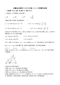 安徽省合肥市第四十六中学2023—2024学年九年级上学期开学考试数学试题