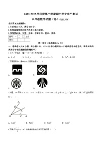 陕西省榆林市第十中学2022-2023学年八年级下学期期中数学试题