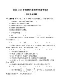 山东省济宁市金乡县2022-2023学年七年级下学期第二次学情监测（期末）数学试卷(含答案)