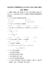 重庆市育才中学数育集团2023-2024学年八年级上学期入学数学试卷