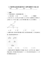 初中数学北师大版八年级上册3 轴对称与坐标变化精练