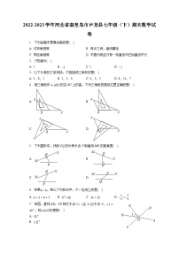 2022-2023学年河北省秦皇岛市卢龙县七年级（下）期末数学试卷（含答案解析）