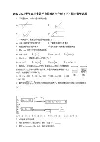 2022-2023学年吉林省四平市铁西区七年级（下）期末数学试卷（含答案解析）