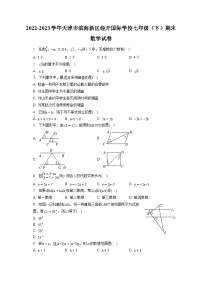 2022-2023学年天津市滨海新区经开国际学校七年级（下）期末数学试卷（含答案解析）