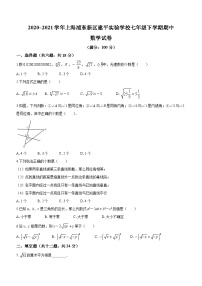 上海市浦东新区建平实验学校2020-2021学年七年级下学期期中数学试题(无答案)