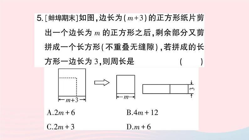 2023七年级数学上册期末基础专题3整式加减及应用作业课件新版沪科版05