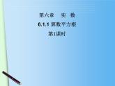 《平方根》PPT课件1-八年级上册数学北师大版
