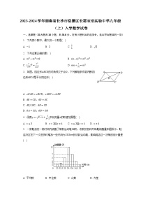 2023-2024学年湖南省长沙市岳麓区长郡双语实验中学九年级（上）入学数学试卷（含解析）