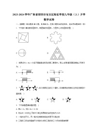 2023-2024学年广东省深圳市宝安区海旺学校九年级（上）开学数学试卷（含解析）