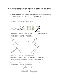 2023-2024学年福建省龙岩市上杭三中八年级（上）开学数学试卷（含解析）