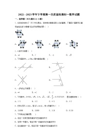 山东省滨州市阳信县2022-2023学年七年级下学期质量检测数学试卷(含解析)