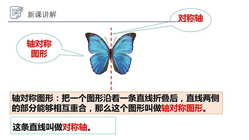 2.1 图形的轴对称 浙教版数学八年级上册课件03