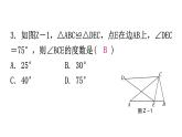 人教版八年级数学上册期中综合训练课件