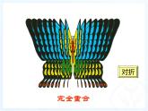 《作轴对称图形》PPT课件2-八年级上册数学人教版