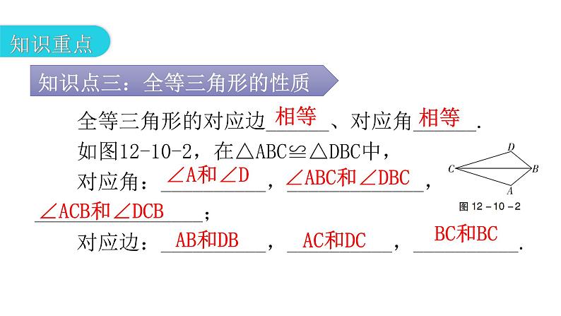 人教版八年级数学上册第十二章全等三角形第10课时全等三角形教学课件07