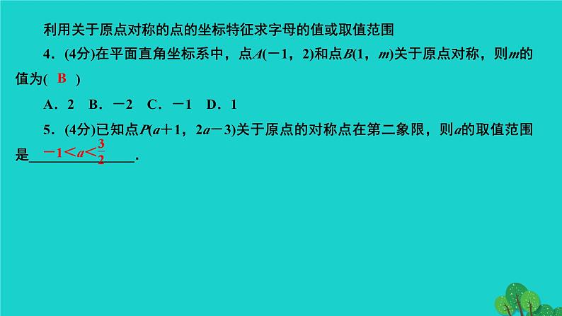 23.2.3 关于原点对称的点的坐标 人教版九年级数学上册作业课件05