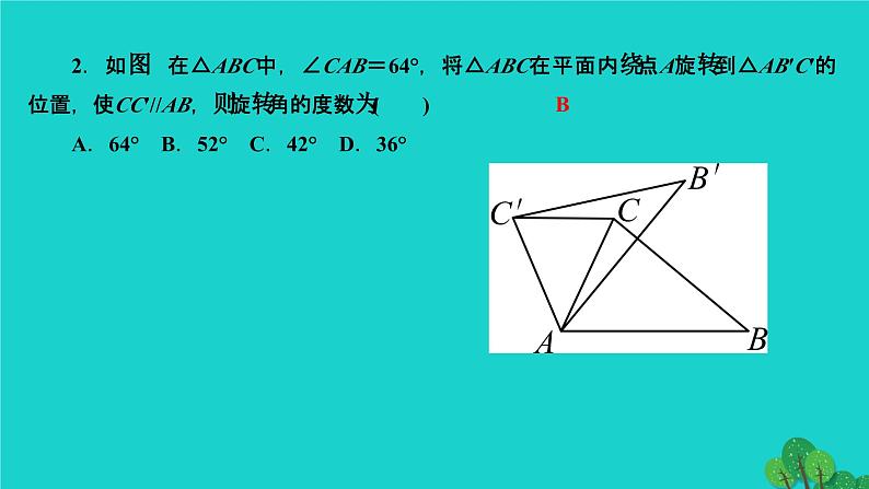 第23章 旋转专题训练-利用旋转进行计算与证明 人教版九年级数学上册作业课件第3页