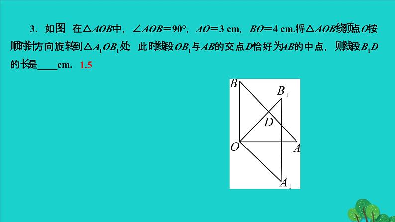 第23章 旋转专题训练-利用旋转进行计算与证明 人教版九年级数学上册作业课件第4页