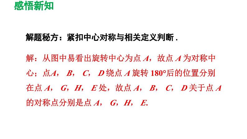 23.2 中心对称 人教版九年级数学上册精选课件导学课件第7页