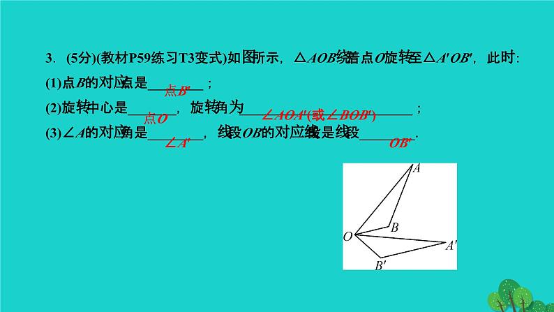 23.1.1 旋转的概念及性质 人教版九年级数学上册作业课件04