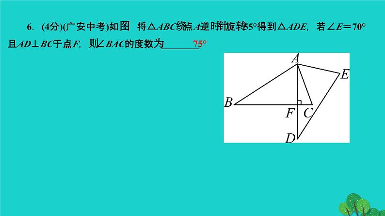 23.1.1 旋转的概念及性质 人教版九年级数学上册作业课件07