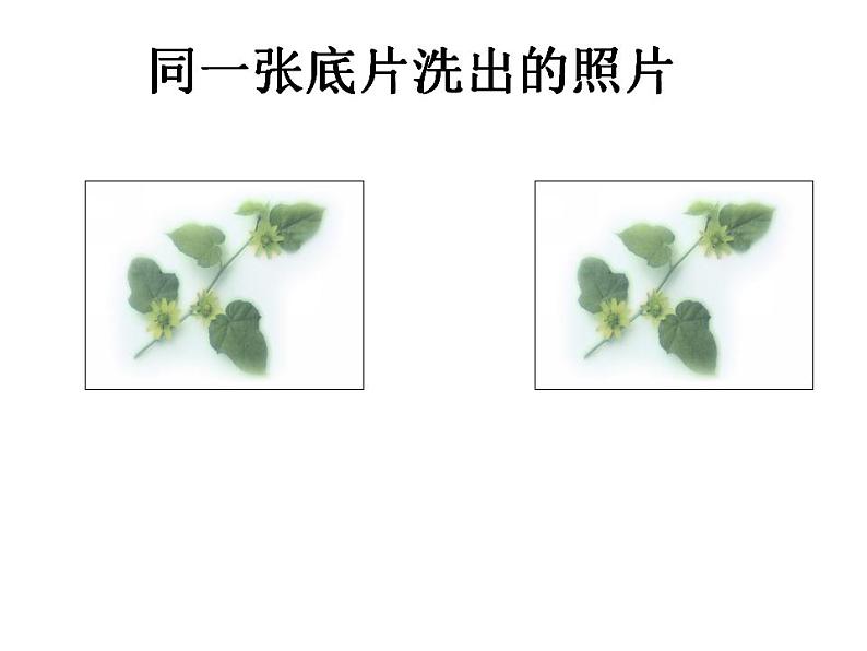 《全等三角形》PPT课件1-八年级上册数学人教版第4页