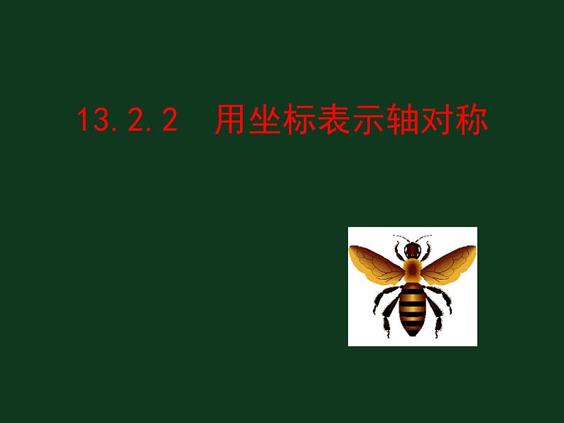 《用坐标表示轴对称》PPT课件2-八年级上册数学人教版第2页