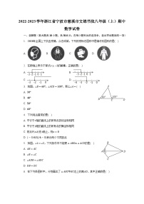 浙江省宁波市慈溪文锦书院2022-2023学年八年级上学期期中检测数学试题