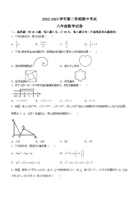 陕西省西安工业大学附属中学2022-2023学年八年级下学期期中数学试题(无答案)