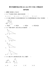 福建省莆田市城厢区砺志学校2023-2024学年八年级上学期返校考数学试卷（含解析）