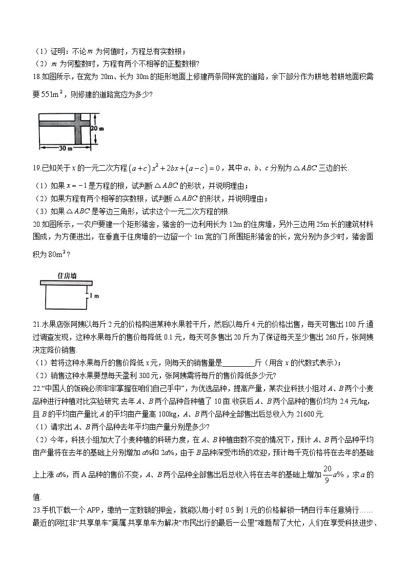 河南省信阳市罗山县彭新镇一中2023-2024学年九年级上学期9月月考数学试题03