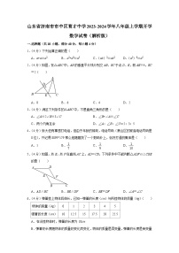 山东省济南市市中区育才中学2023-2024学年八年级上学期开学数学试卷