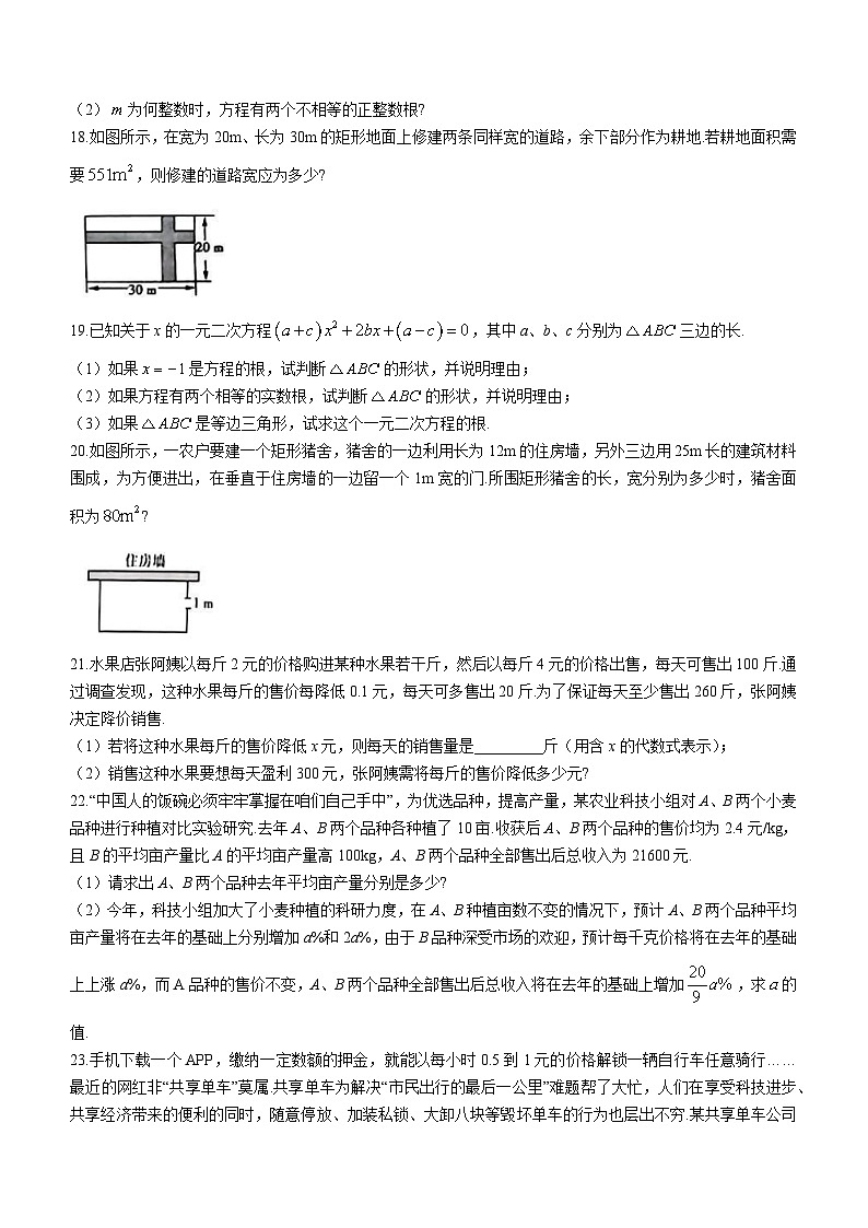 河南省信阳市罗山县彭新镇一中2023-2024学年九年级上学期9月月考数学试题（含答案）03