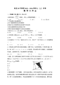 四川省自贡市第二十八中学校2023-2024学年九年级上学期入学考试数学试题