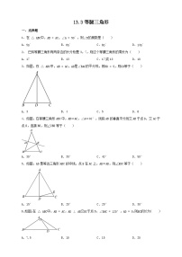 初中数学人教版八年级上册13.3.1 等腰三角形精品复习练习题