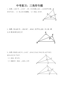 初中数学湘教版八年级上册2.1 三角形测试题