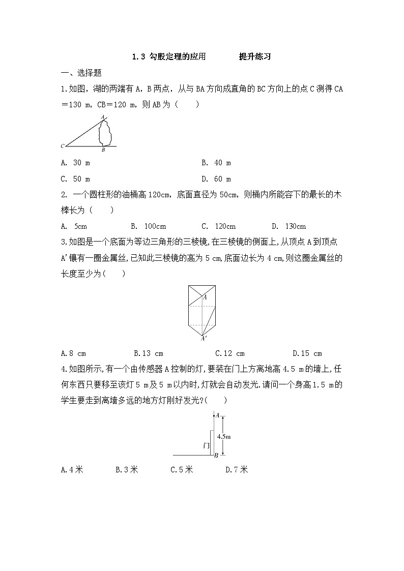 1.3 勾股定理的应用  提升练习  北师大版数学八年级上册（无答案）01
