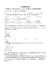 河南省南阳市内乡县灵山雷锋学校2023-2024学年九年级上学期开学数学试题(无答案)