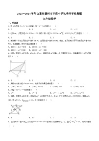 山东省枣庄市滕州市羊庄镇羊庄中学2023-2024学年九年级上学期开学检测数学试题(无答案)