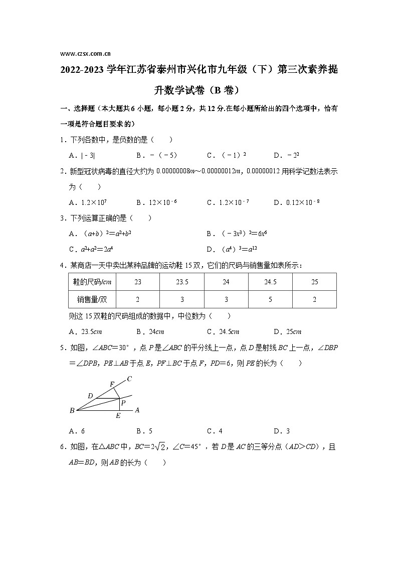 江苏省泰州市兴化市2023届九年级下学期第三次素养提升（B卷）数学试卷(含解析)第1页