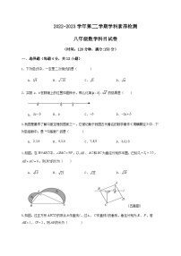 山东省齐河县马集乡中学2022-2023学年度第二学期第一次月考8年级数学试题及答案