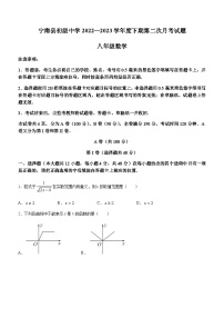 四川省凉山彝族自治州宁南县初级中学校2022-2023学年八年级下学期第二次月考数学试题