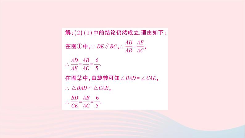 2023九年级数学上册第3章图形的相似综合探究专题相似三角形综合题作业课件新版湘教版第6页