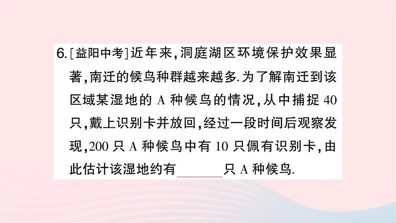 2023九年级数学上册第5章用样本推断总体小结与复习作业课件新版湘教版08