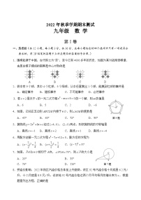 广西河池市环江县2023届九年级上学期期末测试数学试卷(含答案)