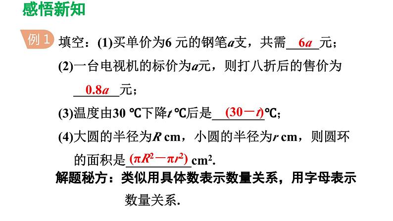 2.1 整式 人教版数学七年级上册导学课件第6页