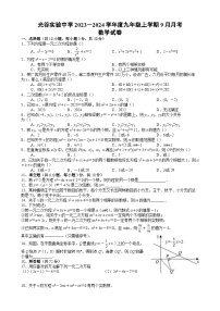 湖北省武汉市光谷实验中学2023-2024学年九年级上学期9月月考数学试题（含答案）