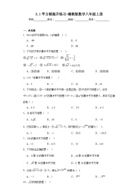 初中数学湘教版八年级上册第3章 实数3.1 平方根当堂达标检测题